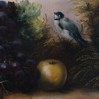 19th century English school still life oil painting fruit flowers Blue Tit