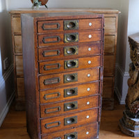 Bank Of Mahogany Drawers With Flush Brass Handles & Name Plates