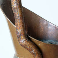 Vernacular Folk Art Twisted Walnut Walking Stick