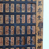 Antique Painted Chinese Apothecary-Style Cabinet with 57 Drawers and Calligraphy