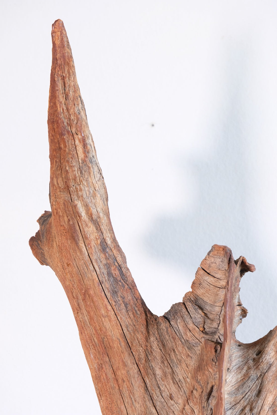 Primitive Carved Driftwood Folk Art Face Sculpture from Beachfound Wood