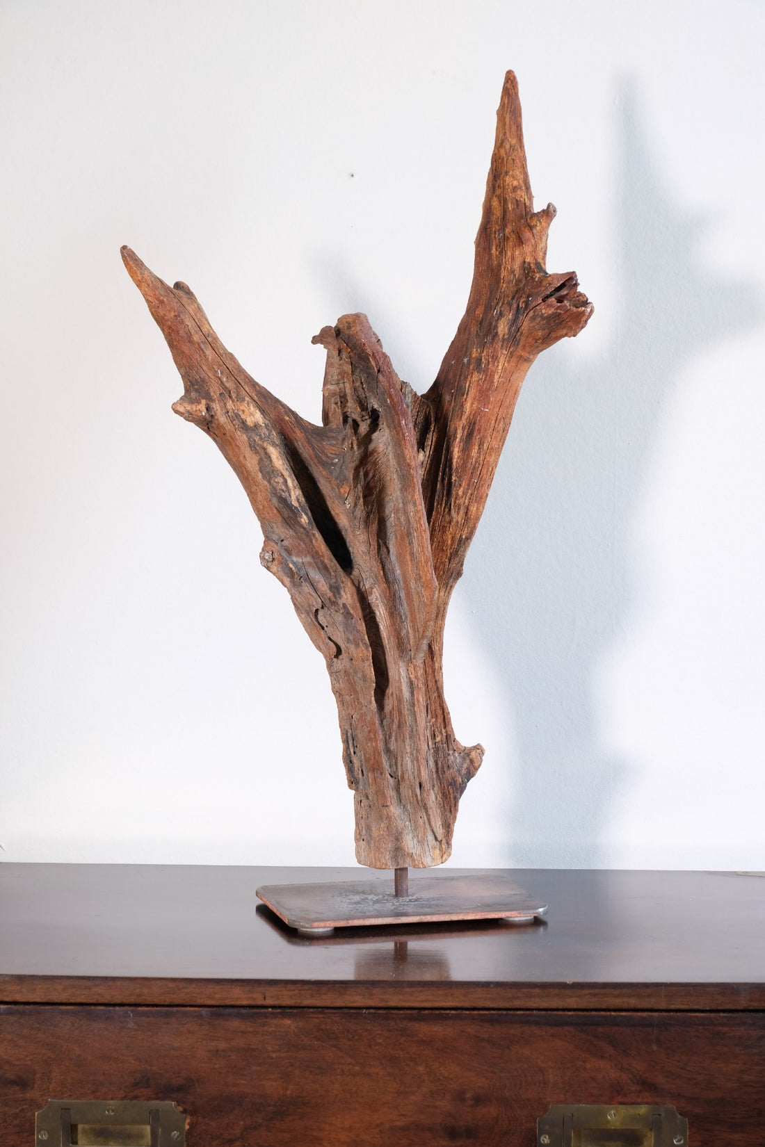 Primitive Carved Driftwood Folk Art Face Sculpture from Beachfound Wood