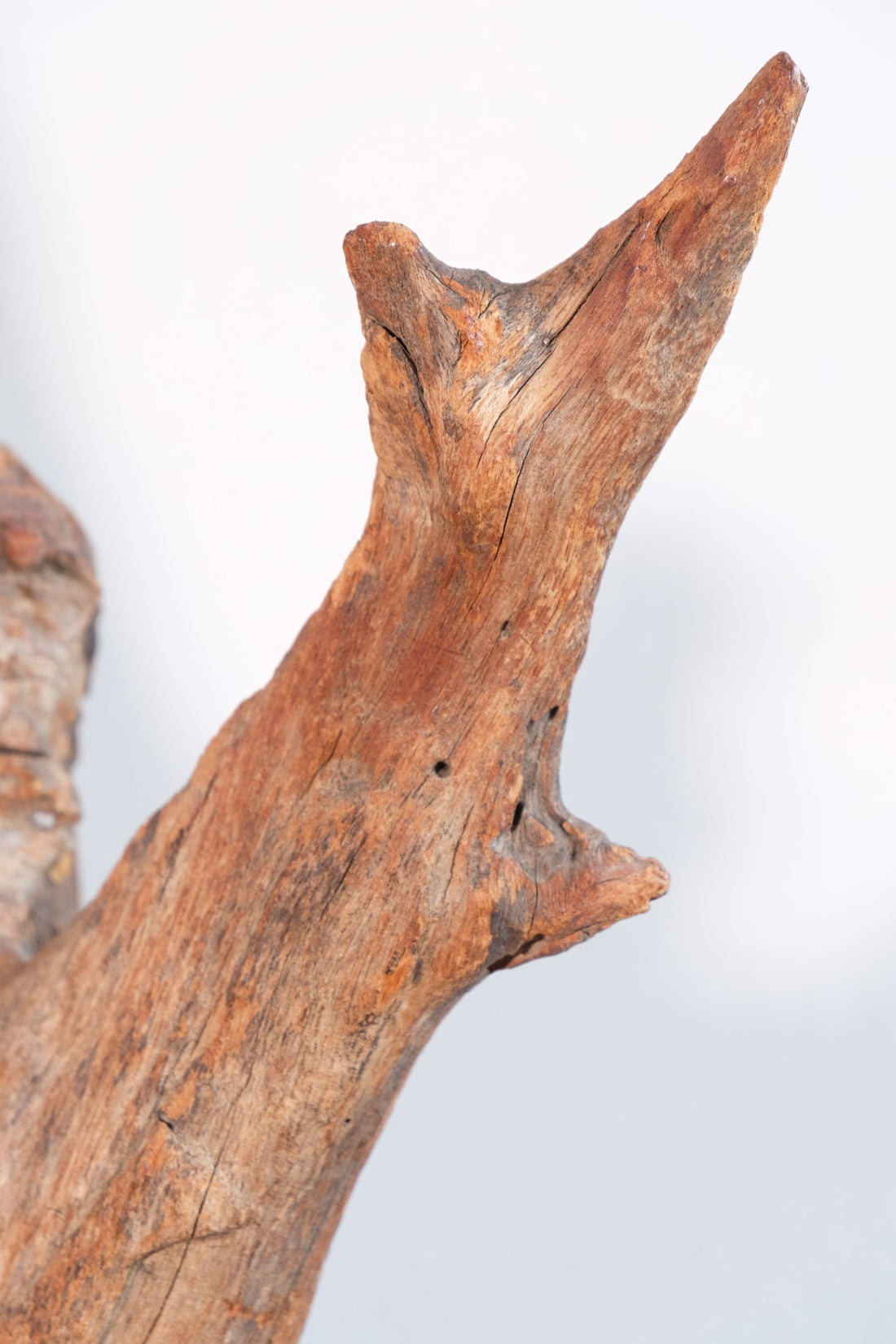 Primitive Carved Driftwood Folk Art Face Sculpture from Beachfound Wood