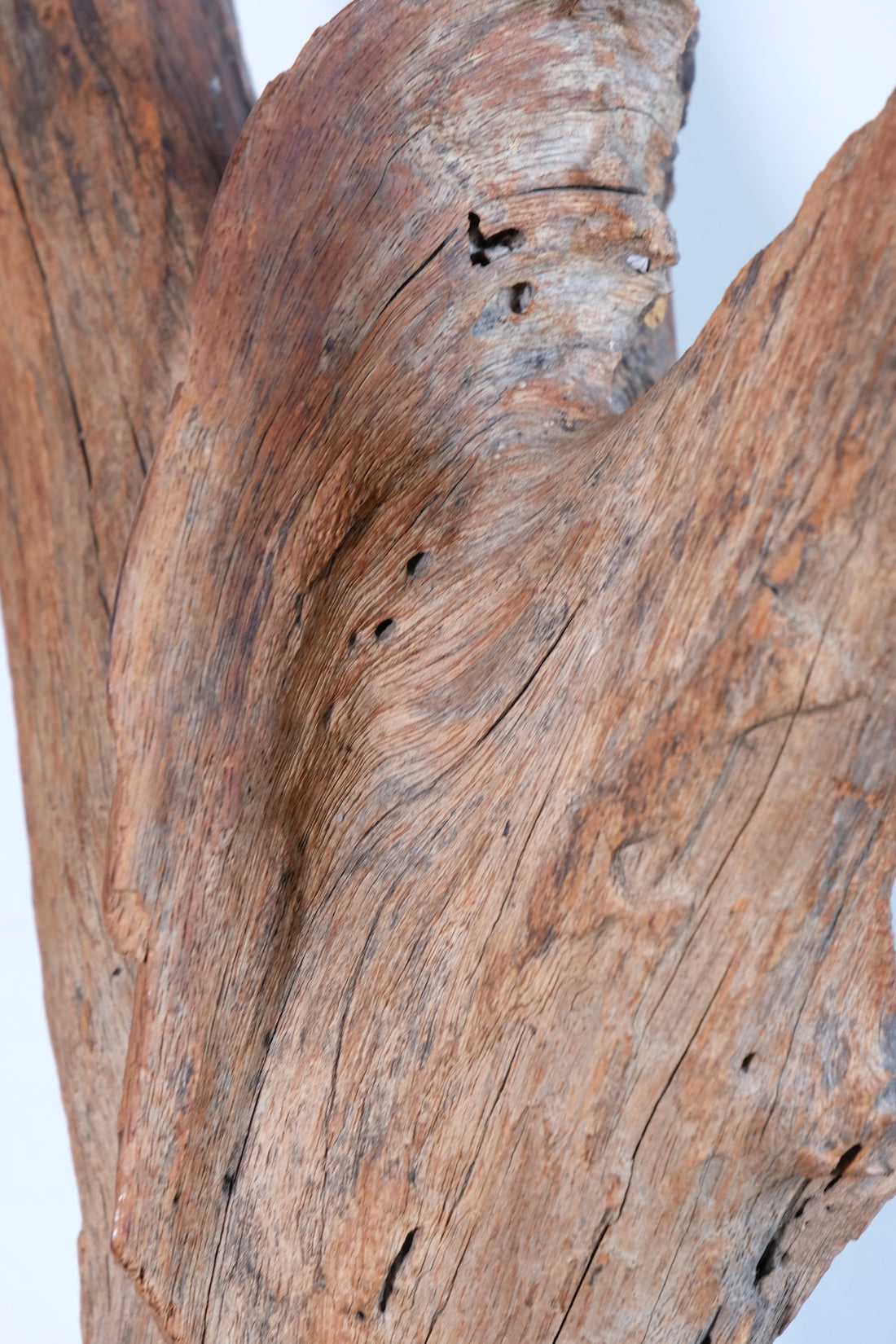 Primitive Carved Driftwood Folk Art Face Sculpture from Beachfound Wood