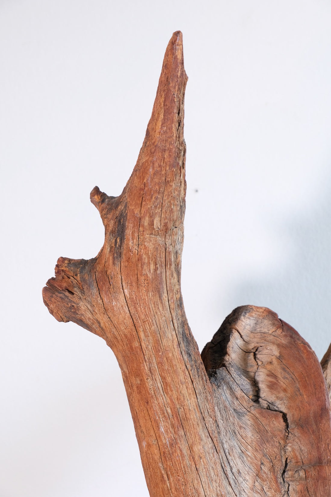 Primitive Carved Driftwood Folk Art Face Sculpture from Beachfound Wood