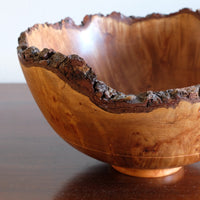 hand turned burr elm bowl live bark edge