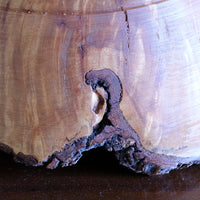 hand turned burr elm bowl live bark edge