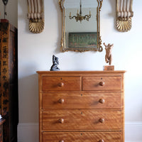 Victorian Scottish Satin Birch Chest Of Drawers With Plinth Drawer