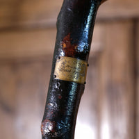 Folk Art Hawthorn Walking Stick Dated 1955