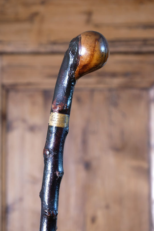 folk art hawthorn walking stick