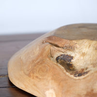 Burr Oak Turned Shallow Bowl 1001838