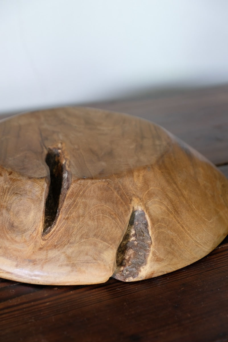 Burr Oak Turned Shallow Bowl 1001836