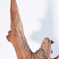 Primitive Carved Driftwood Folk Art Face Sculpture from Beachfound Wood