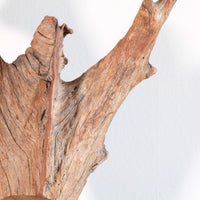 Primitive Carved Driftwood Folk Art Face Sculpture from Beachfound Wood