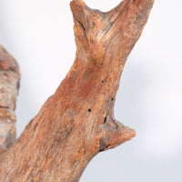 Primitive Carved Driftwood Folk Art Face Sculpture from Beachfound Wood