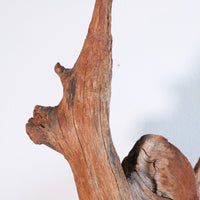 Primitive Carved Driftwood Folk Art Face Sculpture from Beachfound Wood