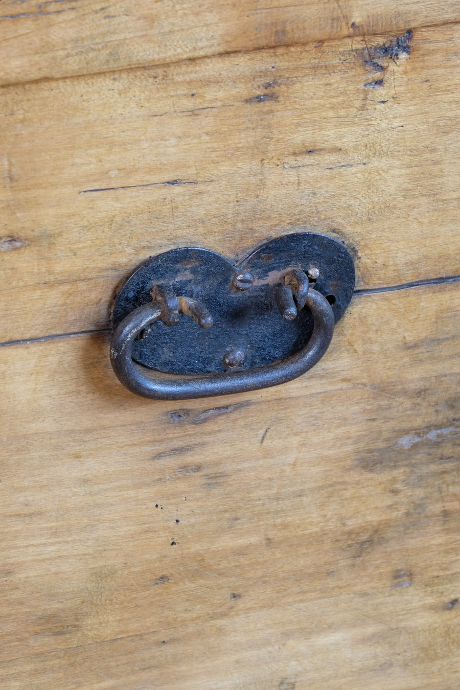 antique rustic pine domed trunk with iron straps circa 1880