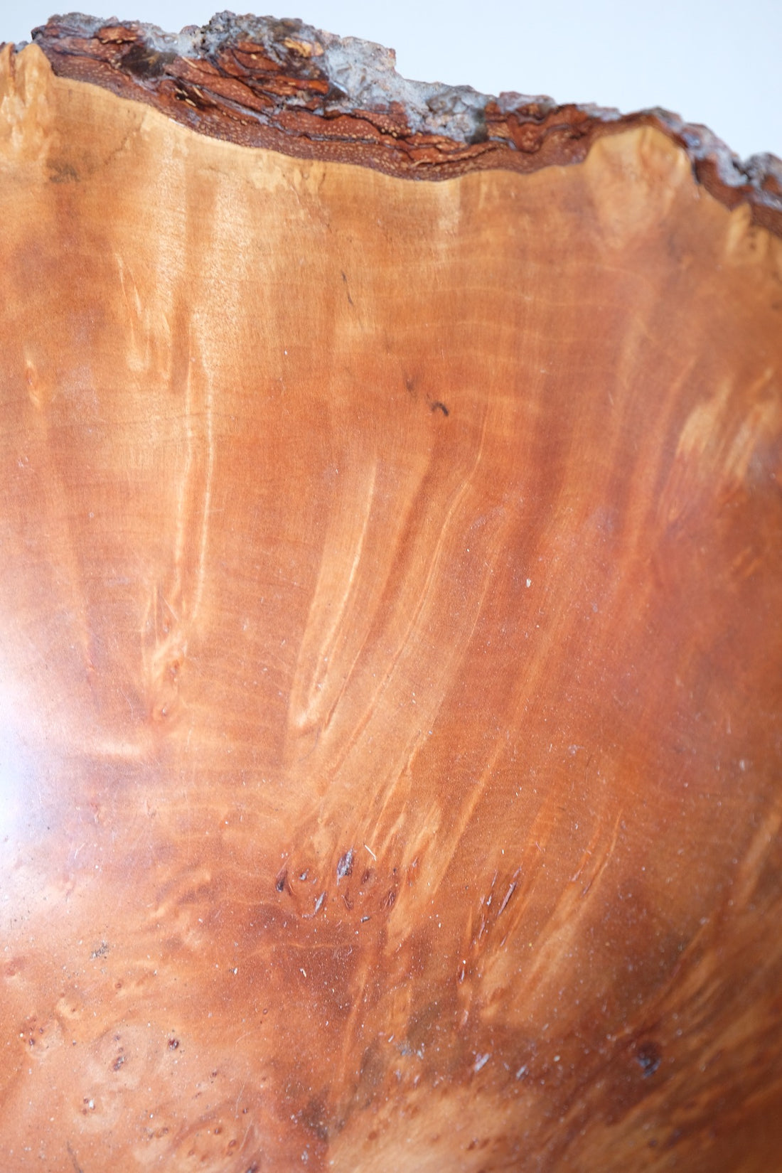 polished interior burr elm bowl