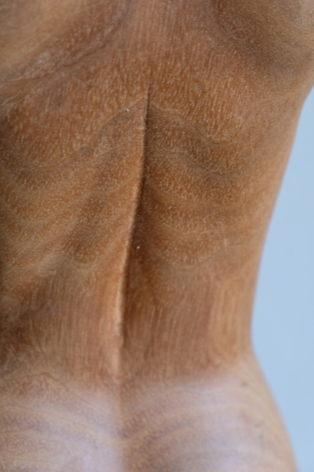 Hand Carved Wooden Female Torso Sculpture | Modernist Art