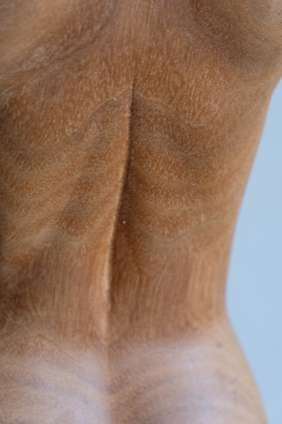 Hand Carved Wooden Female Torso Sculpture | Modernist Art