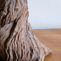 Makonde Root Wood Bust – Tribal Elder Portrait Sculpture