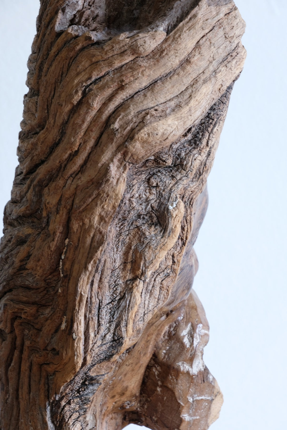 Makonde Root Wood Bust – Tribal Elder Portrait Sculpture