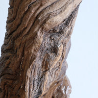 Makonde Root Wood Bust – Tribal Elder Portrait Sculpture