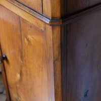 19th Century Walnut Bedside Cupboard