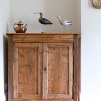 Late 19th Century Pine Rustic Two Door Cupboard