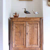 Late 19th Century Pine Rustic Two Door Cupboard