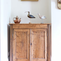 Late 19th Century Pine Rustic Two Door Cupboard