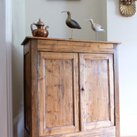 Late 19th Century Pine Rustic Two Door Cupboard