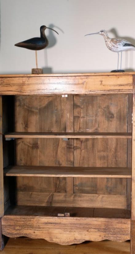 Late 19th Century Pine Rustic Two Door Cupboard