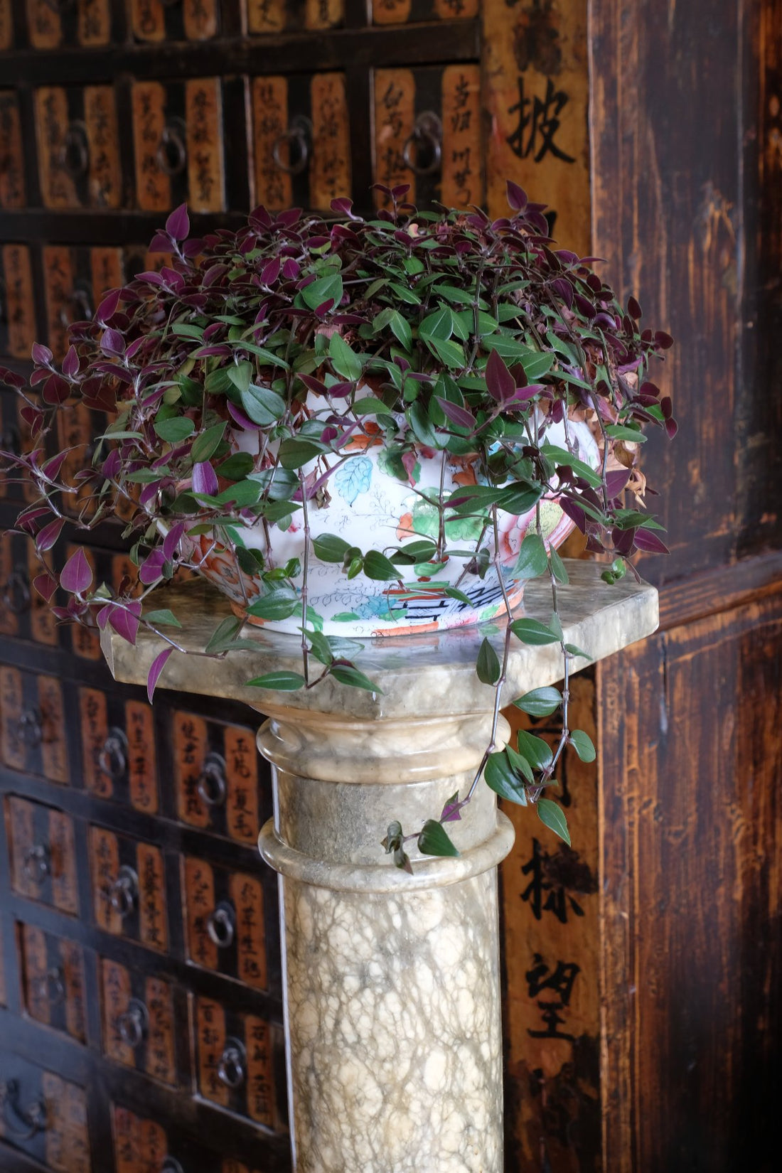 Antique Verd Antique green brecciated marble pedestal column Victorian display stand
