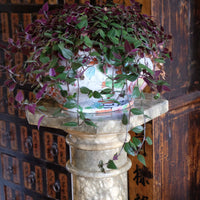 Antique Verd Antique green brecciated marble pedestal column Victorian display stand
