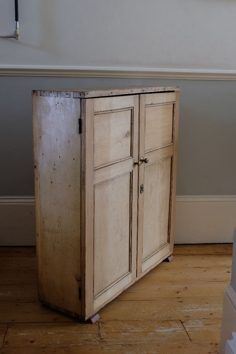 Side view - Early 19th Century English Pine Cupboard with Four Panel Doors