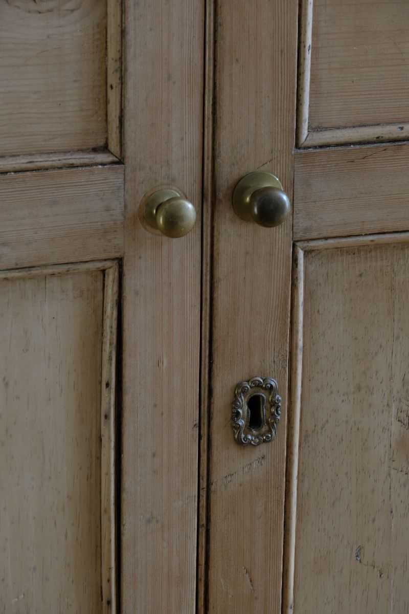 Close up of door detail - Early 19th Century English Pine Cupboard with Four Panel Doors 