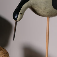 Hand Carved & Painted Black & White Folk Art Bird 1001864