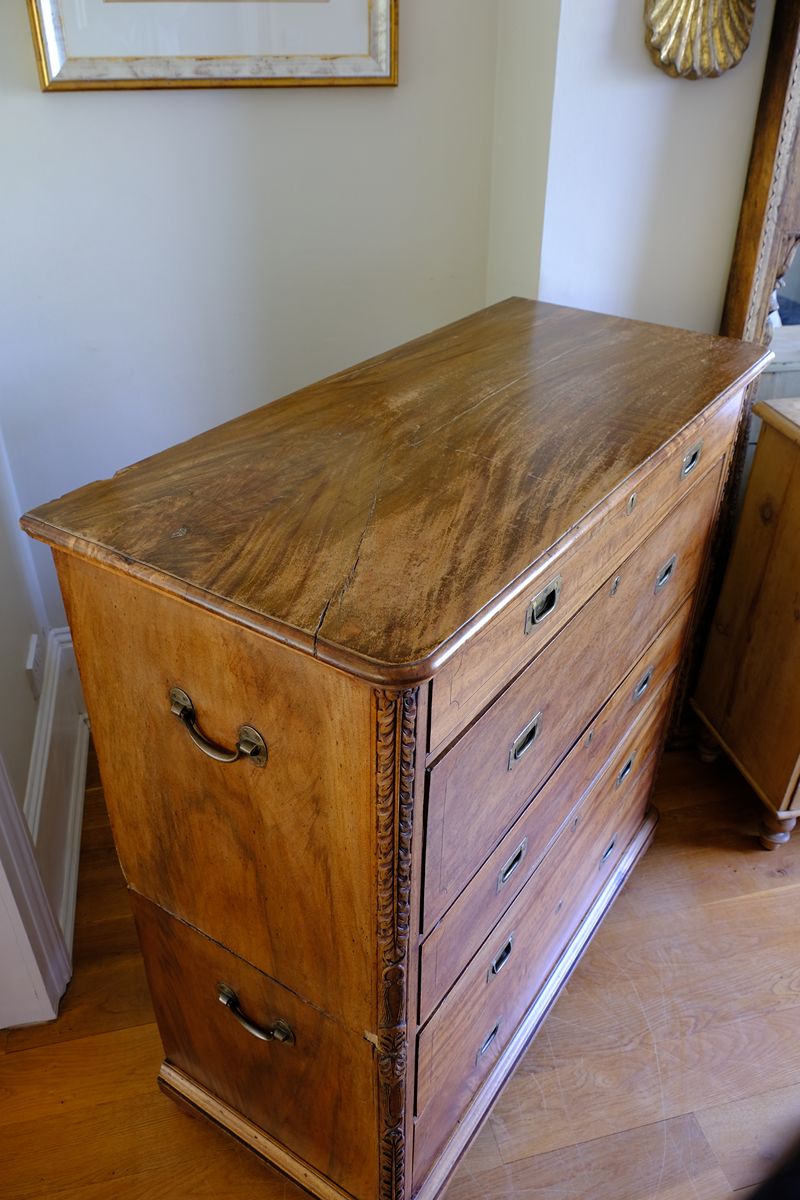 Wavey grain on the top of the Camphor Wood Campaign Secretaire Chest by Phelps Ltd. with Fitted Writing Desk and Original Label