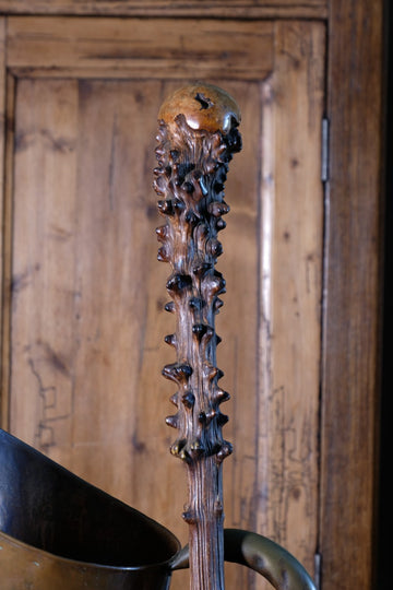 Hawthorn Folk Art Hedgerow Walking Stick