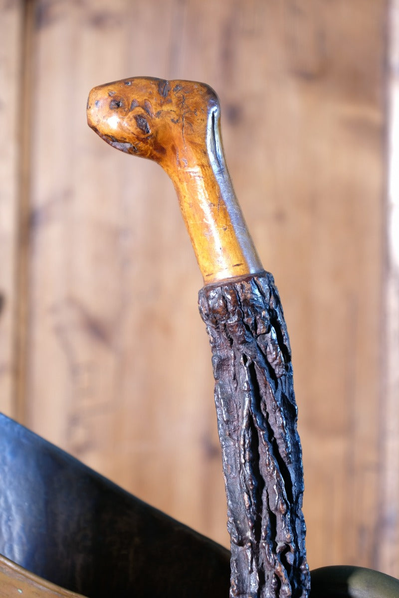 Folk Art Elm Bark Hedgerow Walking Stick