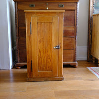 Early 20th Century Pitch Pine Single Door Larder Cupboard with Lift-Off Hinges and Original Sprung Latch