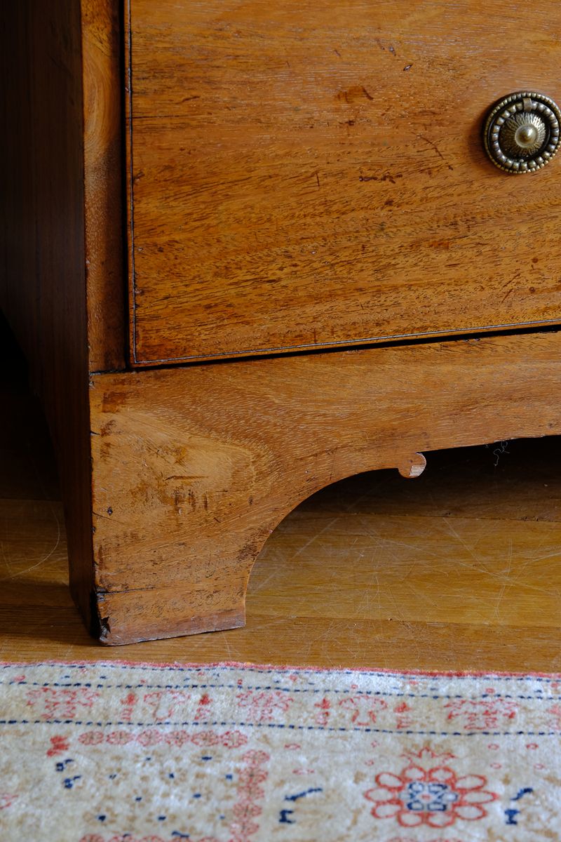 Raised on a shaped arched plinth with delicate scroll returns - Late Georgian Anglo-Chinese Padauk Chest of Drawers with Mitred Face Frame and Original Brass Side Carrying Handles