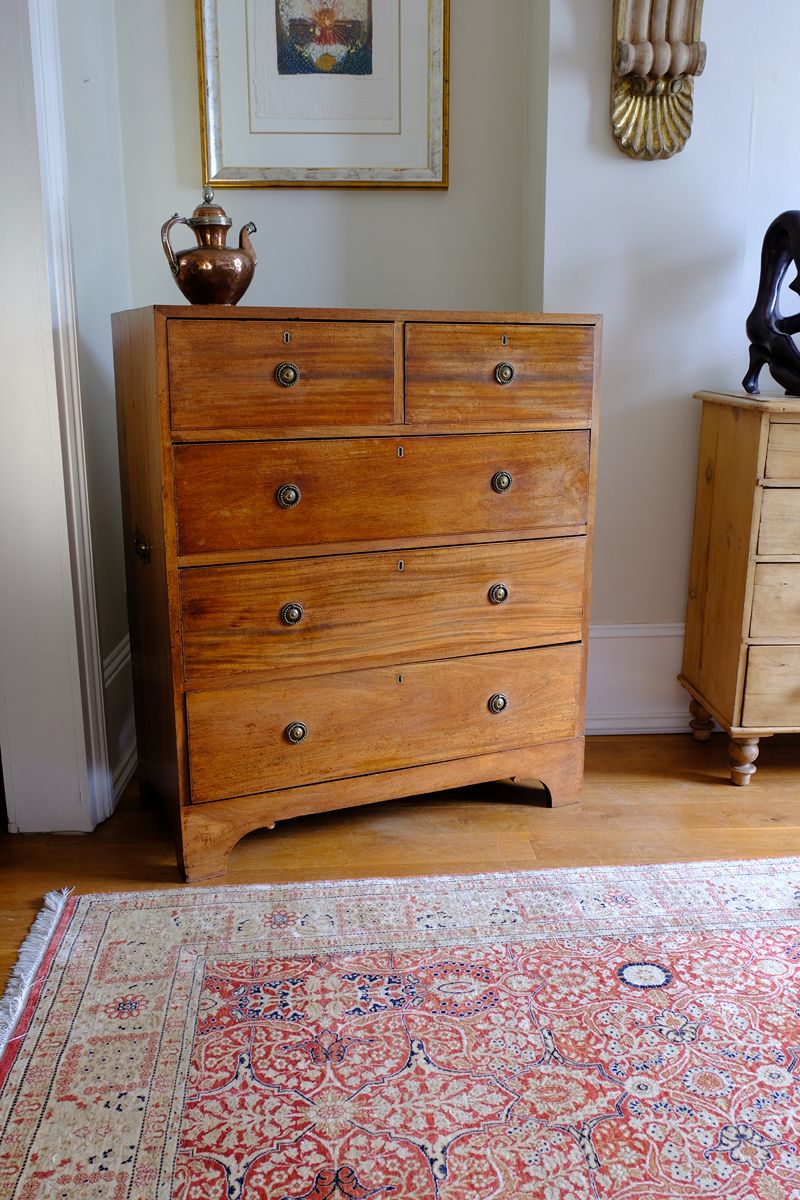 Late Georgian Anglo-Chinese Padauk Chest of Drawers with Mitred Face Frame and Original Brass Side Carrying Handles