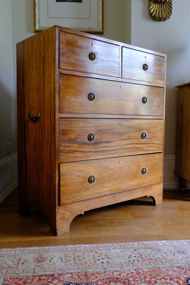 Late Georgian Anglo-Chinese Padauk Chest of Drawers with Mitred Face Frame and Original Brass Side Carrying Handles