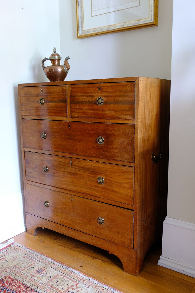 Late Georgian Anglo-Chinese Padauk Chest of Drawers with Mitred Face Frame and Original Brass Side Carrying Handles