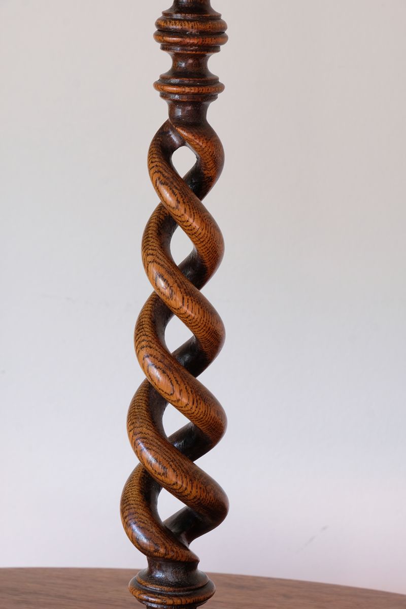 Close view of two entwined oak strands forming an open barley-twist stem